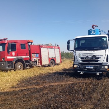 Defesa Civil registra quatro incêndios simultâneos em Osvaldo Cruz